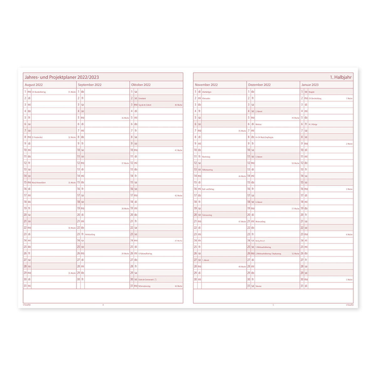 TimeTEX Kompakt-Lehrerkalender 2024/2025 A4-Plus Softcover, 2 Lineal-Lesezeichen, Verschluss-Gummi