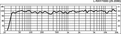 IMG STAGELINE L-RAY/1000 PA-Lautsprecher-Array (DSP-gesteuert), aktiv, 700 W (350 W+350 W)