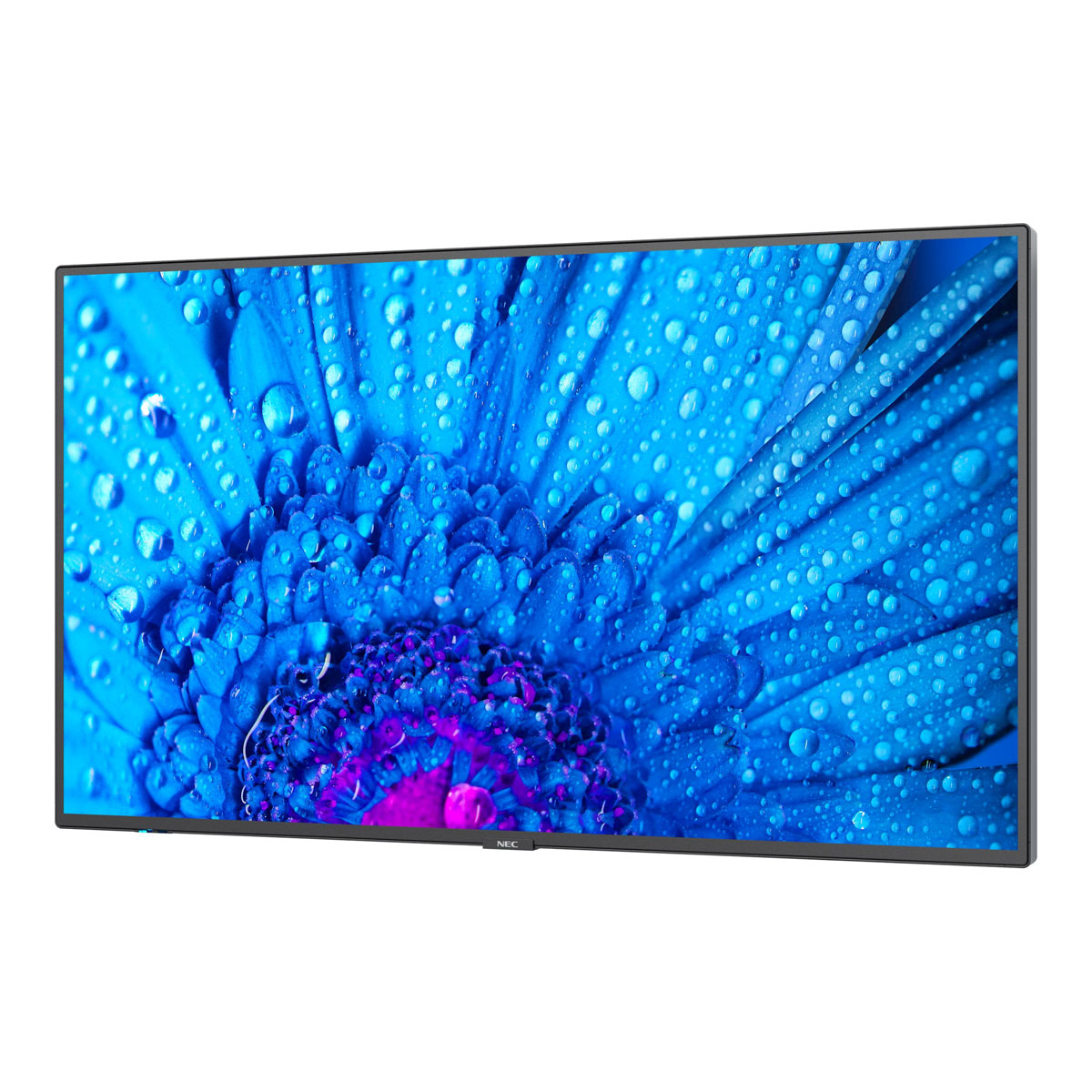 NEC MultiSync M651 65'' UHD-Display 