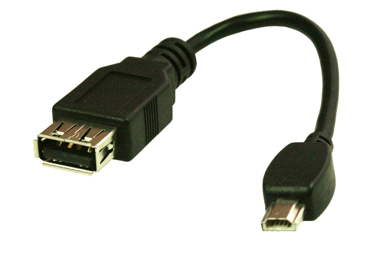 Adapter von Vernier von Standard-USB auf Mini-USB zur Verbindung von Go!Link/-Temp an Easy-Port(USB)