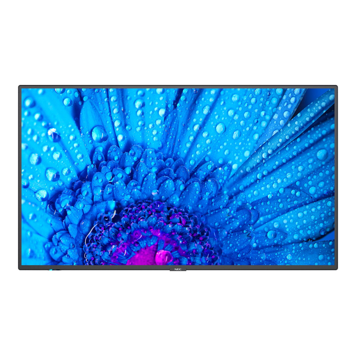 NEC MultiSync M651 65'' UHD-Display 