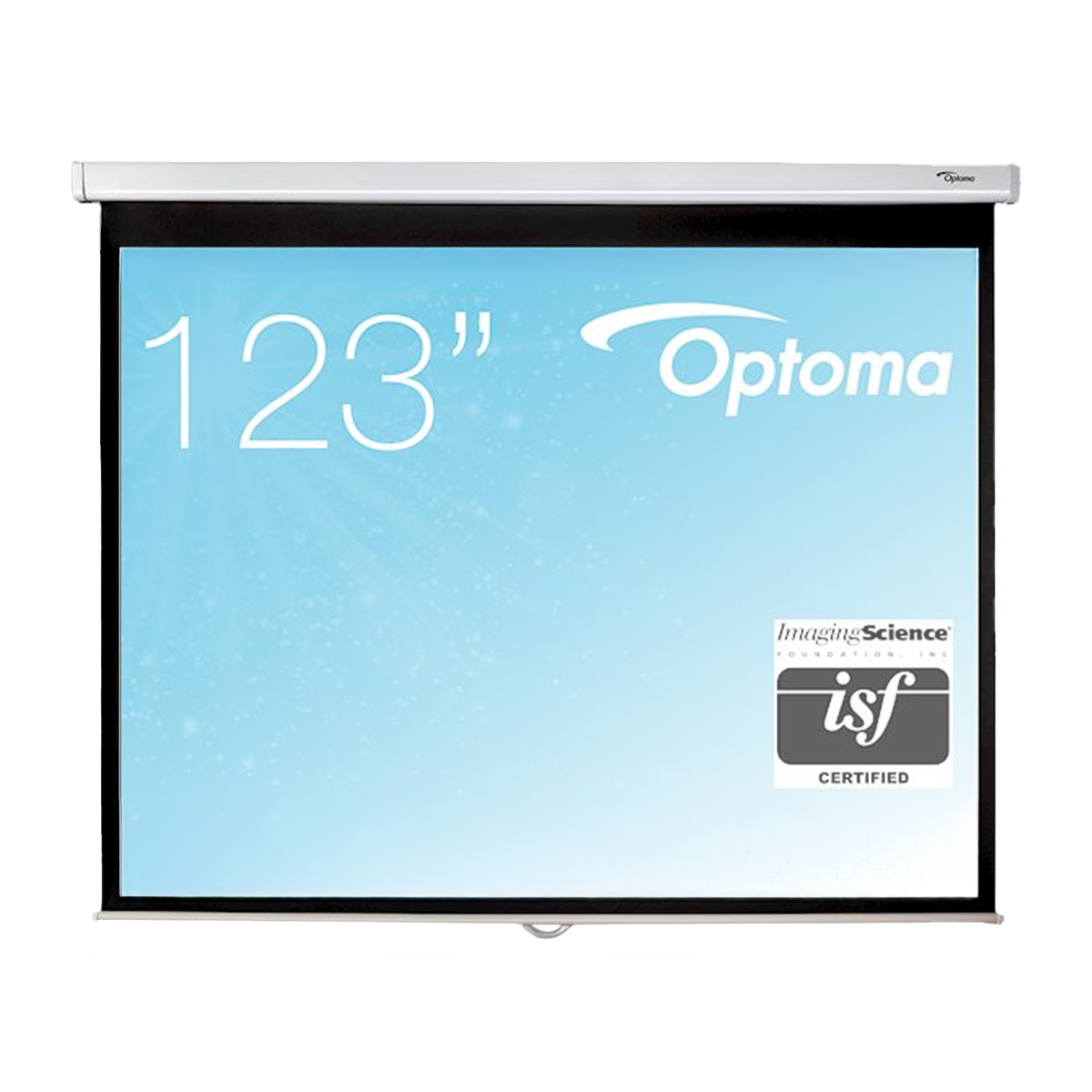 Optoma DS-3120PMG+ Leinwand 120'' (304,3 cm)